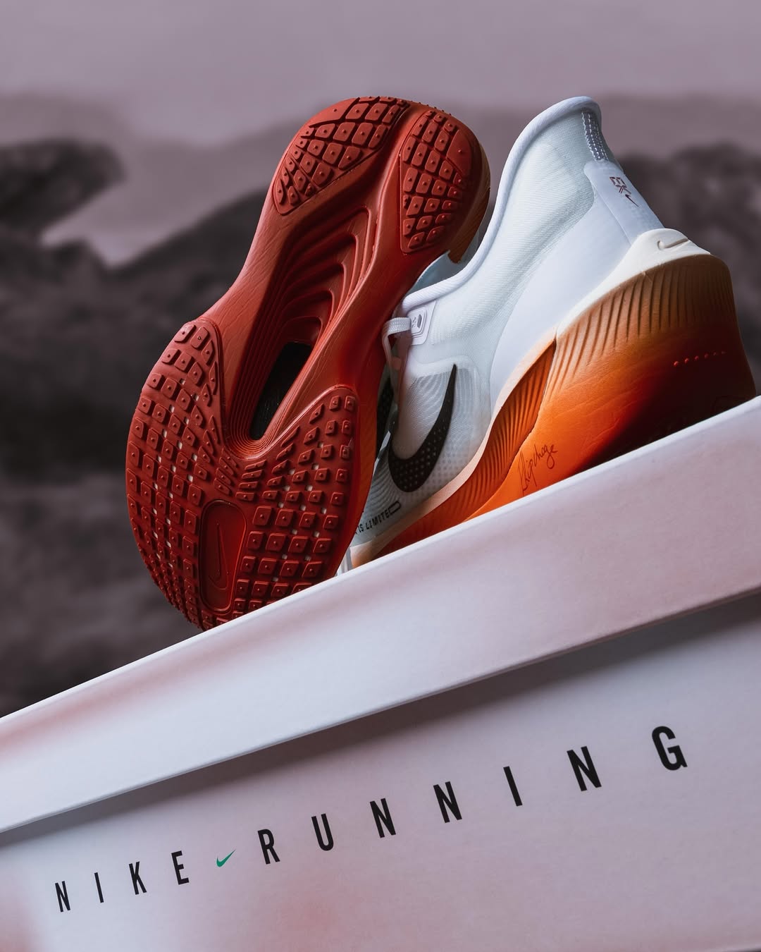 Nike Zoom Fly 6 Eliud Kipchoge – Premium Masterpiece Running Shoes with Original Box
